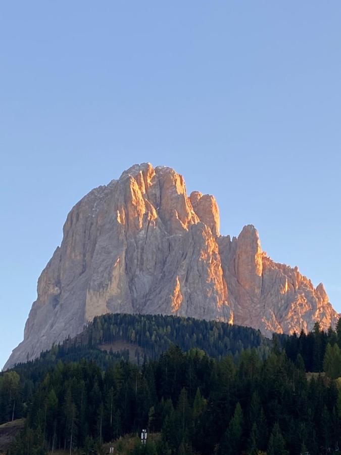 Apartments Mezdi Santa Cristina Val Gardena 외부 사진