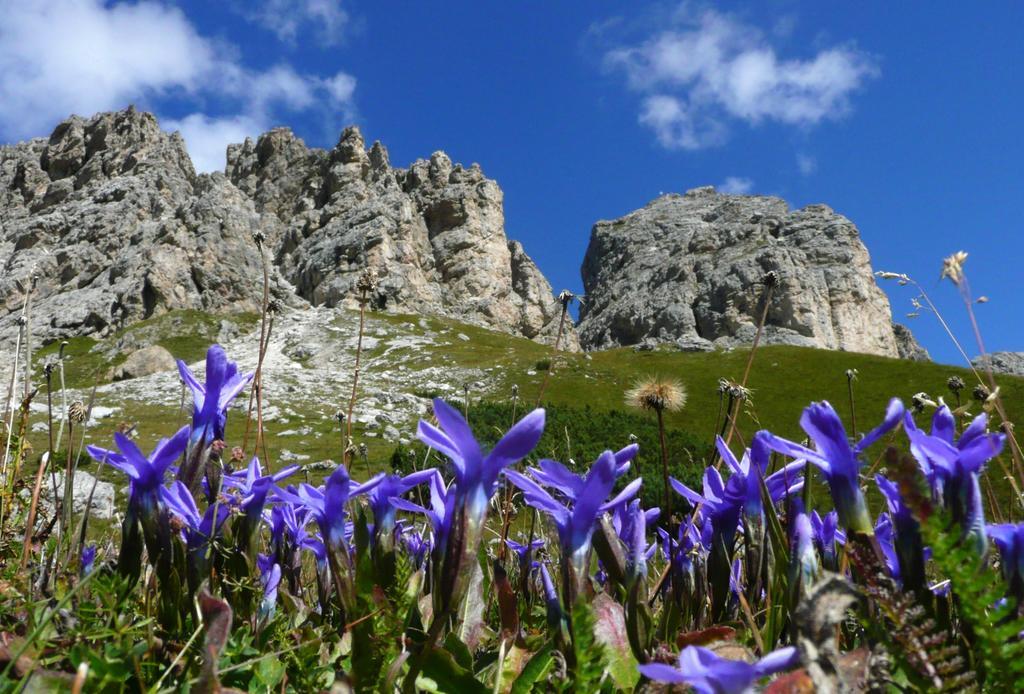 Apartments Mezdi Santa Cristina Val Gardena 외부 사진